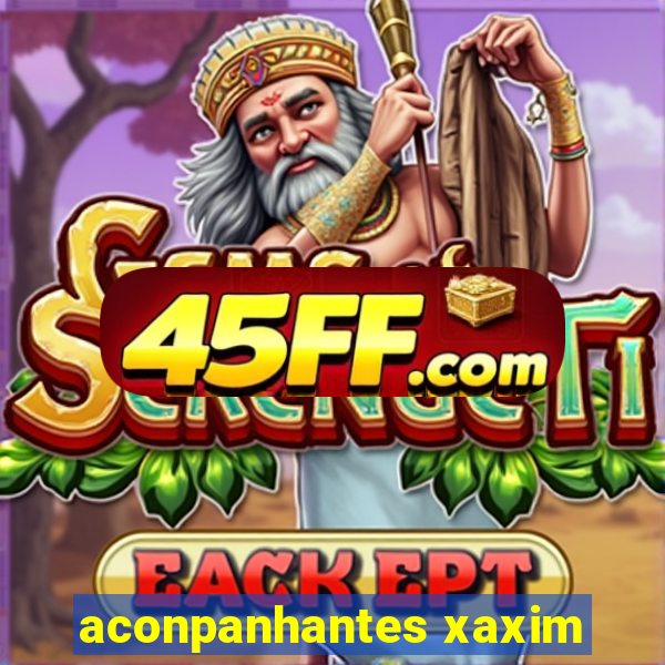 aconpanhantes xaxim